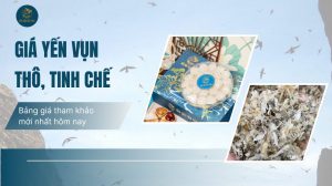 Giá yến vụn thô, tinh chế: Bảng giá tham khảo mới nhất hôm nay