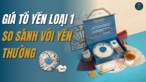 Giá tổ yến loại 1, so sánh giá và giá trị với yến tinh chế thường