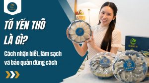 Tổ yến thô là gì? Cách nhận biết, làm sạch và bảo quản đúng cách