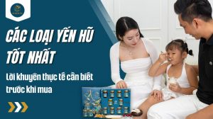 Các loại yến hũ tốt nhất: Lời khuyên thực tế cần biết trước khi mua