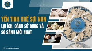 Yến tinh chế sợi non: Lợi ích, cách sử dụng và so sánh mới nhất