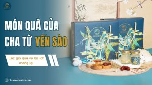 Món quà của cha từ yến sào: Các giỏ quà và lợi ích mang lại