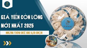 Giá yến còn lông mới nhất 2025: Những tiêu chí khi lựa chọn