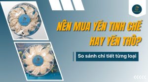 Nên mua yến tinh chế hay yến thô? So sánh chi tiết từng loại
