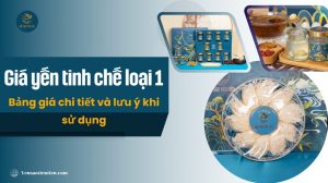 Giá yến tinh chế loại 1: Bảng giá chi tiết và lưu ý khi sử dụng