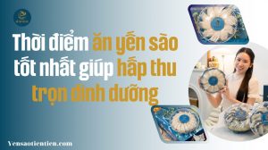 Thời điểm ăn yến sào tốt nhất giúp hấp thu trọn dinh dưỡng