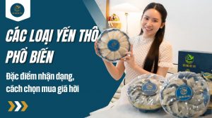 Các loại yến thô phổ biến: Đặc điểm nhận dạng, cách chọn mua