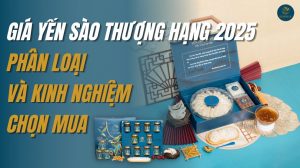 Giá yến sào thượng hạng 2025: Phân loại và kinh nghiệm mua