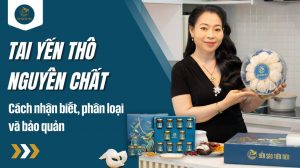 Tai yến thô nguyên chất: Cách nhận biết, phân loại và bảo quản