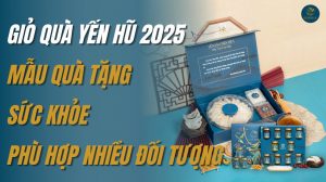 Giỏ quà yến hũ 2025: Mẫu quà tặng sức khỏe phù hợp