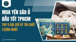 Mua yến sào ở đâu tốt TPHCM: Top 5 địa chỉ uy tín chất lượng nhất