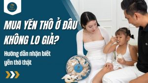 Mua yến thô ở đâu không lo giả? Hướng dẫn nhận biết yến thô thật