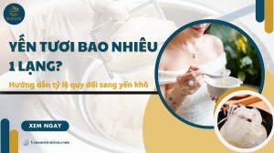 Yến tươi bao nhiêu 1 lạng? Hướng dẫn tỷ lệ quy đổi sang yến khô