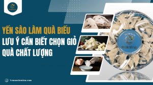 Yến sào làm quà biếu: Lưu ý cần biết chọn giỏ quà chất lượng