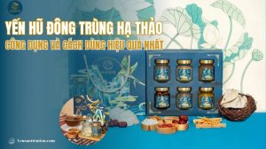 Yến hũ đông trùng hạ thảo: Công dụng và cách dùng hiệu quả nhất