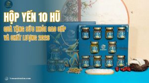 Hộp yến 10 hũ: Quà tặng sức khỏe cao cấp và chất lượng 2026