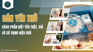 Bán yến thô: Cách phân biệt yến thật, giả và sử dụng hiệu quả