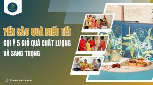 Yến sào quà biếu Tết: Gợi ý 5 giỏ quà chất lượng và sang trọng