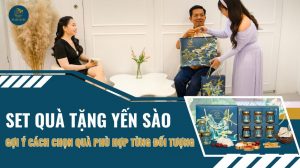 Set quà tặng yến sào: Gợi ý cách chọn quà phù hợp