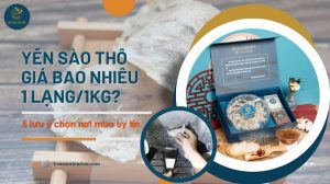 Yến sào thô giá bao nhiêu 1 lạng/1kg? 5 lưu ý chọn nơi mua uy tín