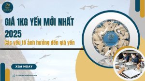 Giá 1kg yến mới nhất 2025: Các yếu tố ảnh hưởng đến giá yến