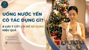 Uống nước yến có tác dụng gì? 6 lưu ý cốt lõi để sử dụng hiệu quả