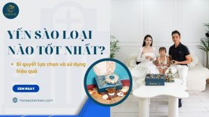 Yến sào loại nào tốt nhất? Bí quyết lựa chọn và sử dụng hiệu quả