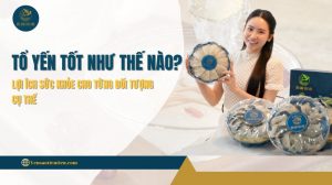Tổ yến tốt như thế nào? Lợi ích sức khỏe cho từng đối tượng cụ thể