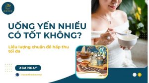 Uống yến nhiều có tốt không? Liều lượng chuẩn để hấp thu tối đa